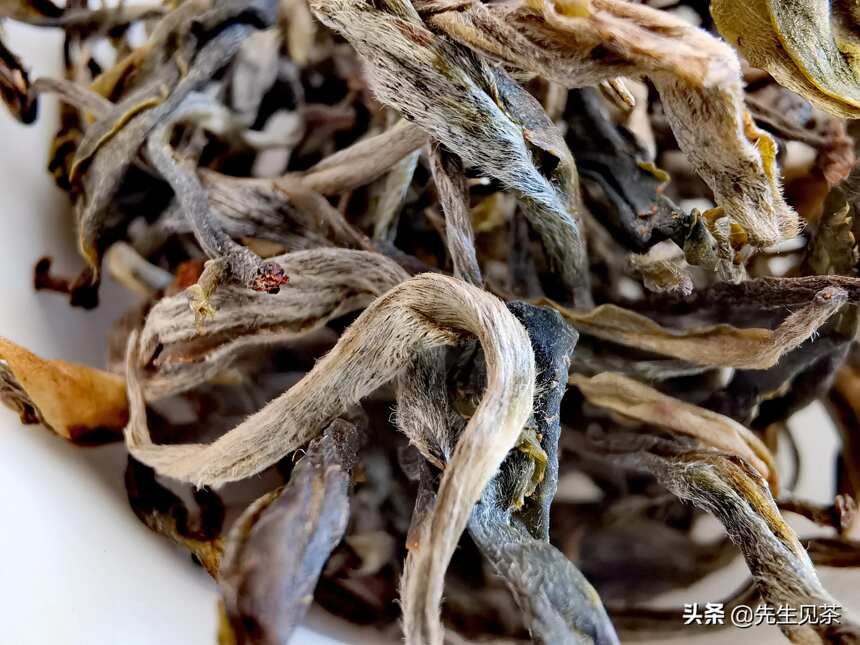 什么是头春茶？头春茶有什么好？