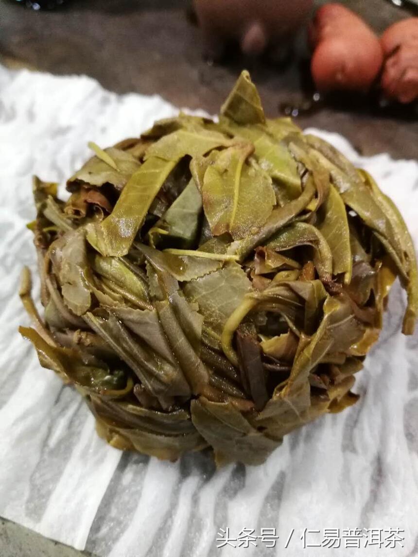 仁易说茶：不亚于老班章的600年树龄高杆古树单株赏析