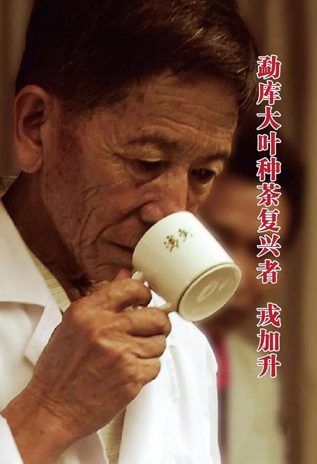 被逐渐玩坏了的山头茶