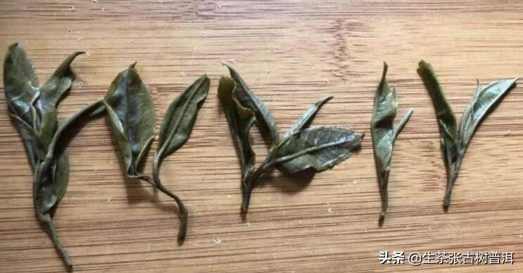 如何区分冰岛五寨普洱茶的口感？哪款才是真正的冰岛？