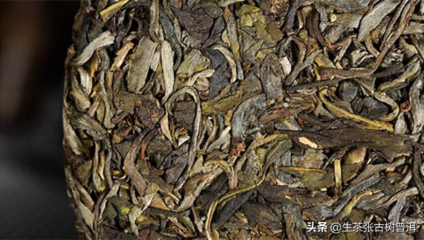 为何高海拔的普洱茶，香气更好？口感更醇厚？