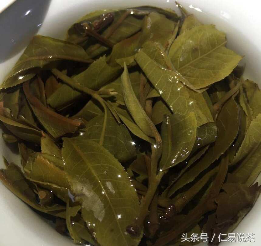 仁易说茶：新编中国普洱茶简史，随手笔记，茶诗一首