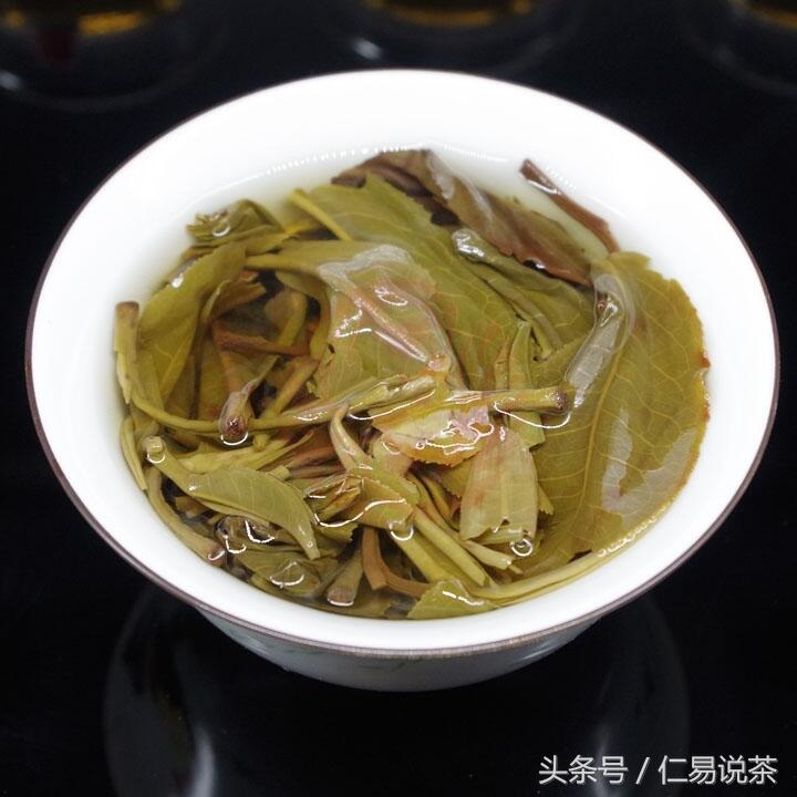 仁易说茶：老班章生茶混采测试，老班章的标准是怎样的？还原一个真实的老班章普洱茶