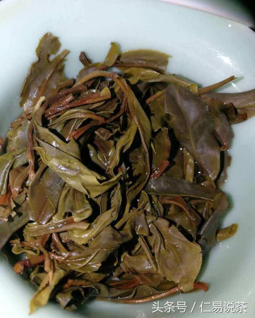 仁易说茶：用原生态普洱茶理论普及台地茶，茶会是个披着羊皮的狼