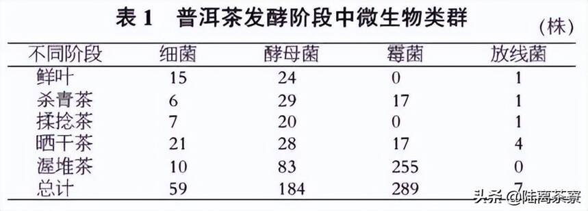 喝一口茶汤会吃进百万细菌！普洱茶上到底有多少微生物？