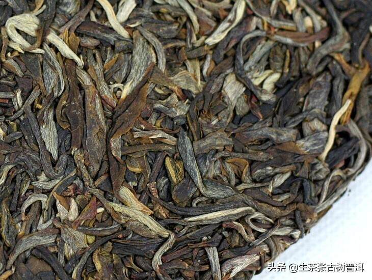 布朗山面积最大、最古老的山寨——老曼峨，其普洱茶有什么特点？