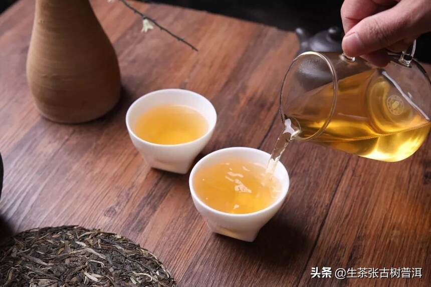 「答疑解惑」普洱茶的陈化、香气、茶气、耐泡等魅力，从何而来？