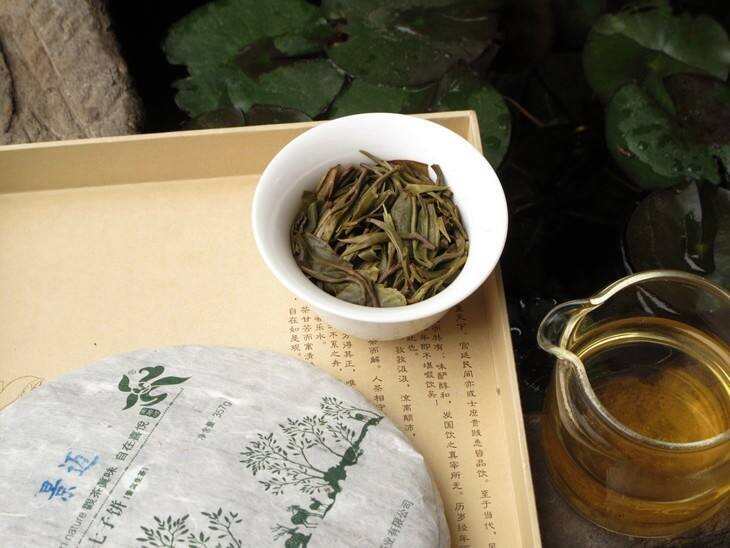 景迈山普洱茶口感怎么样？有什么特点？景迈山茶区属于哪个茶区？