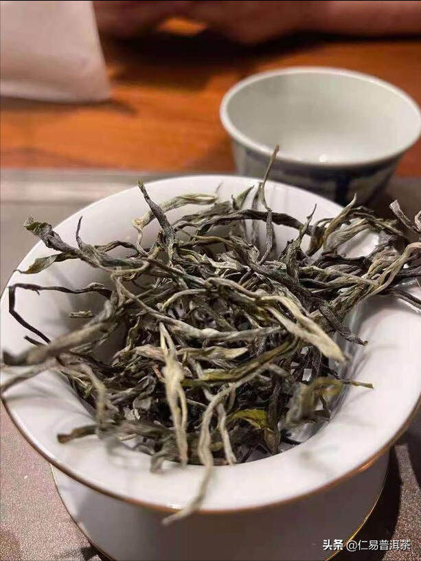 普洱茶：上帝投掷的骰子，文化美学与科学技术，我们怎样走？