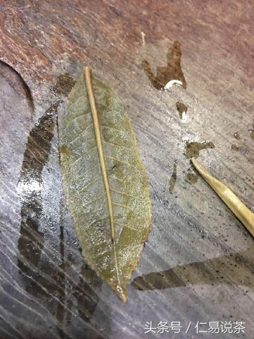 仁易说茶：解读区块链，普洱茶文化，中国文化的关联，关乎每个人