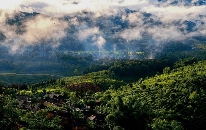 普洱茶最贵山头排行榜，能够喝得起的是绝对的土豪，你喝过几个？