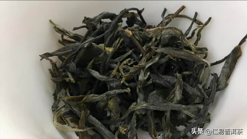 普洱茶，茶人的始发站，它与六大茶类的秘密是？