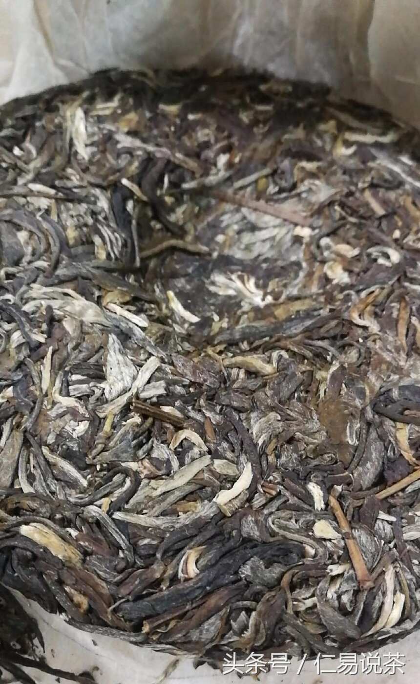 仁易说茶：一泡普洱茶的告白