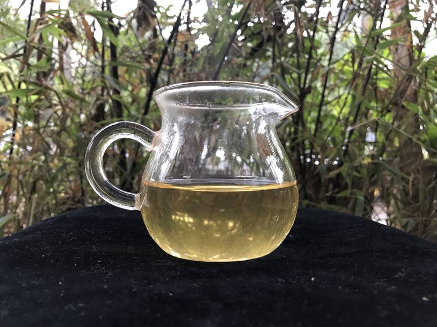 《老徐鉴茶》164期：2018广别老寨普洱茶品鉴报告（长春茶友寄）