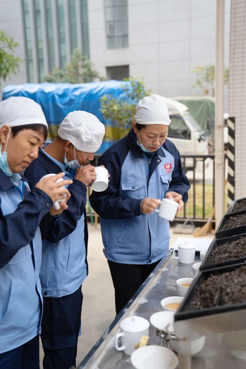 业界定义不清！谨防商家陷阱！揭秘普洱茶中水最深的古树茶