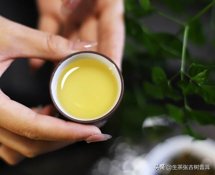 普洱茶香气的类型，你都喝过哪几种？