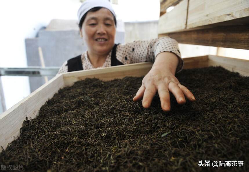 古树发酵与离地发酵：从低端熟茶桎梏中突围