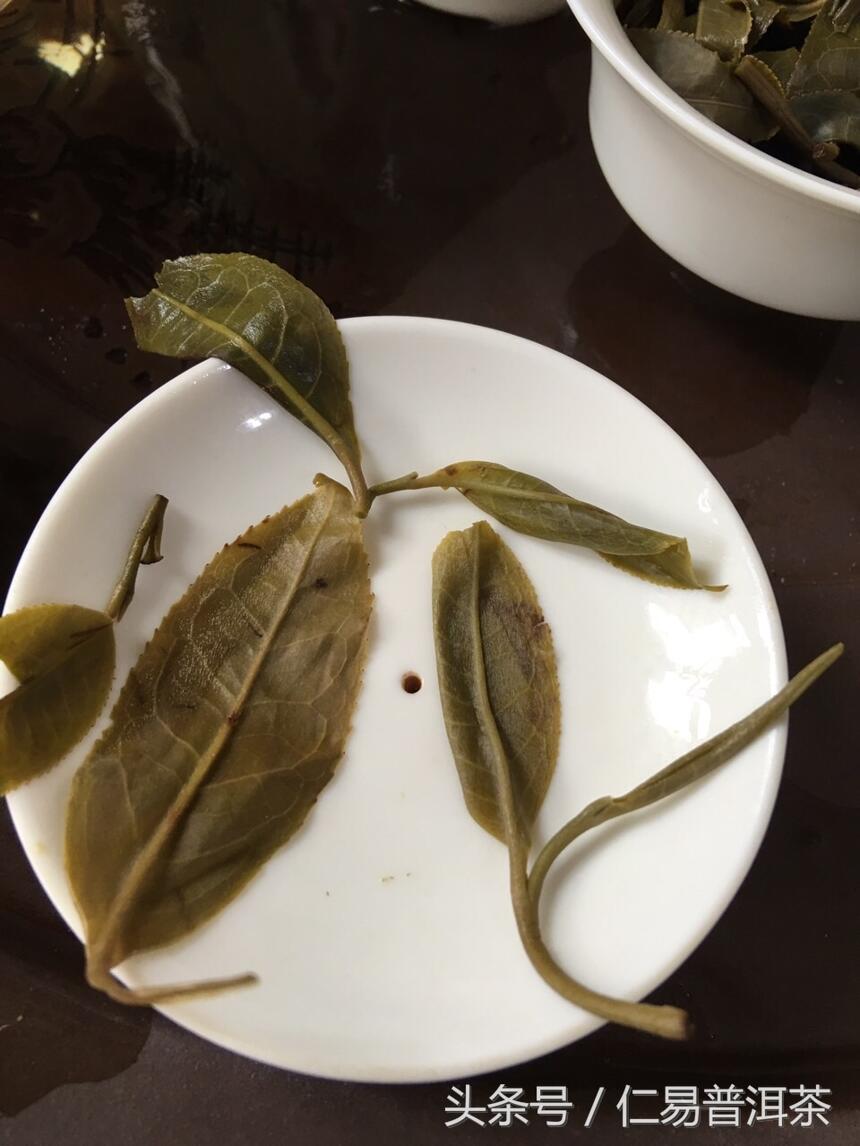 仁易说茶：古代为什么说普洱茶是最酽的？