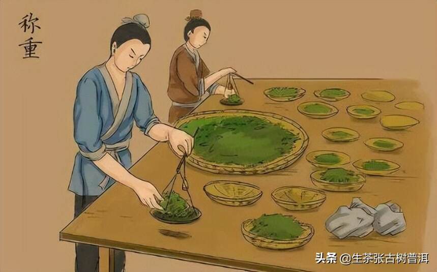 什么是普洱茶的8奇？怎样泡普洱茶才会更好喝？