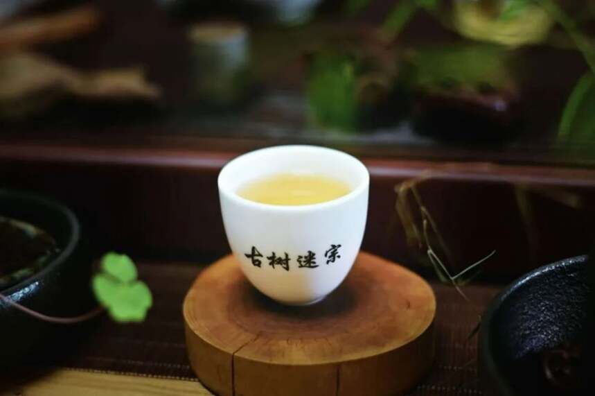 云南古树茶的江湖排名