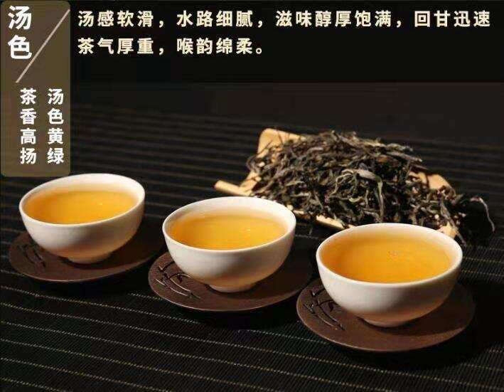 如何选购优质普洱茶叶，这几点需要牢记