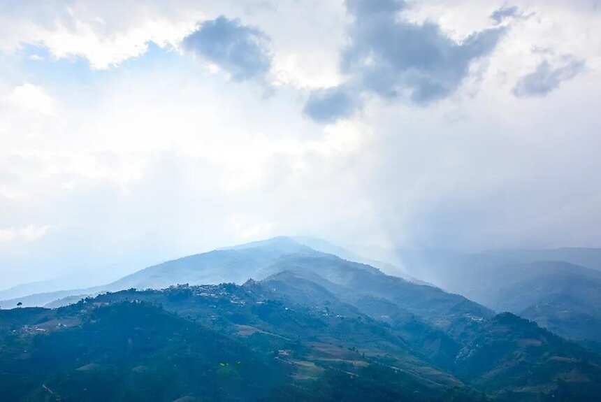 临沧茶最顶级的四个山头！除了冰岛、昔归，这两个山头也堪称经典