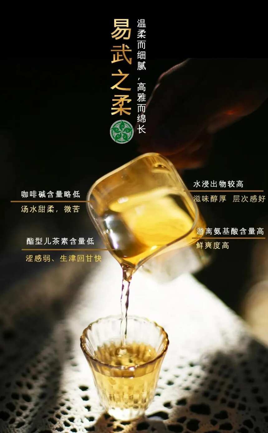 六大茶山:俯仰之间都是历史刻痕