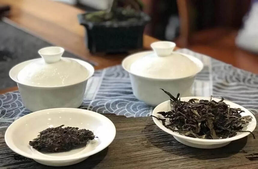 普洱茶好不好，一闷全知道