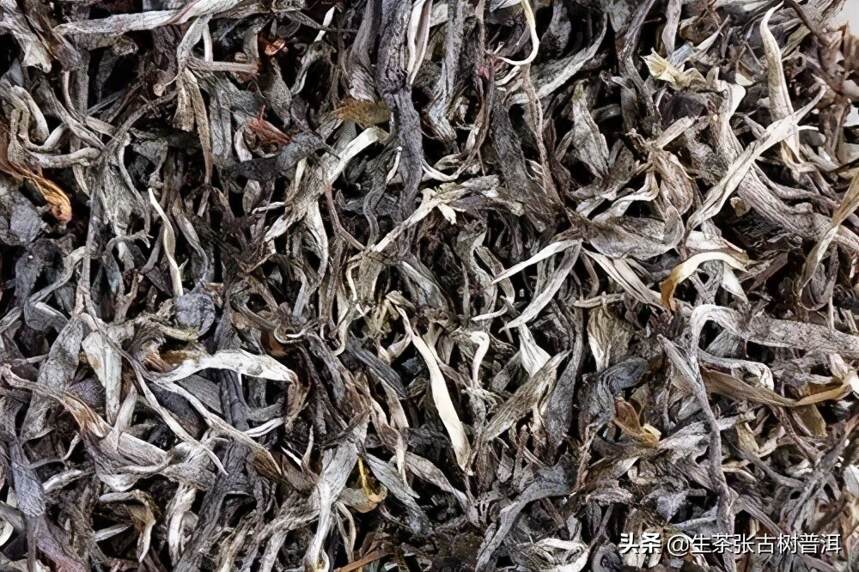 「评鉴普洱茶知识」快速识别普洱茶的好坏方法，简单实用