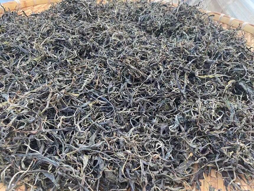 老徐谈茶221：中树茶品质一般？这款茶生长环境好，韵味绝佳