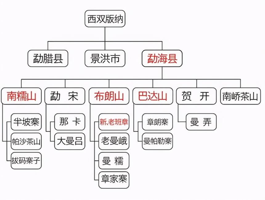 「普洱茶分类汇总」生茶张整理，一文看懂普洱茶的8个分类