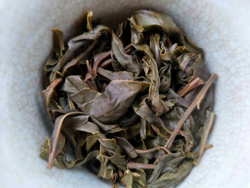 老徐鉴茶170期：500年古树2018早春单株生茶品鉴报告（南京茶友）