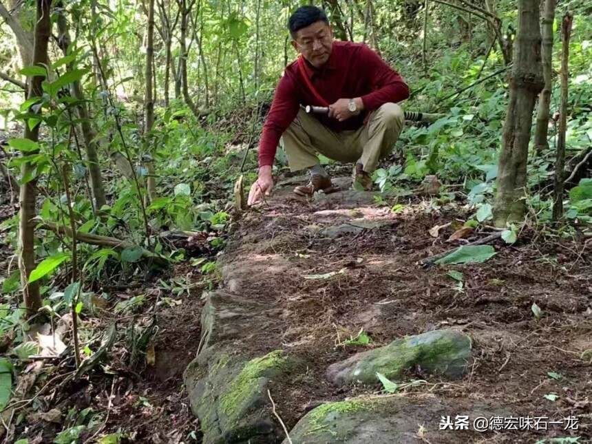 陇川行纪Ⅲ：探源德昂“女王”传说与古树茶