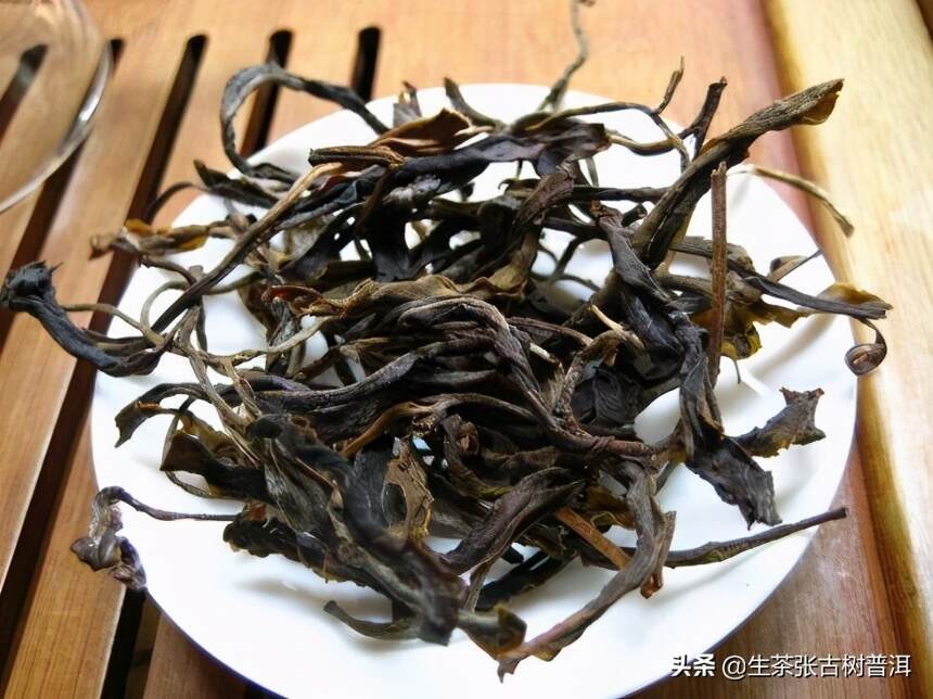 落水洞古树茶的特点有哪些？“茶树活化石”的枯萎警示着什么？