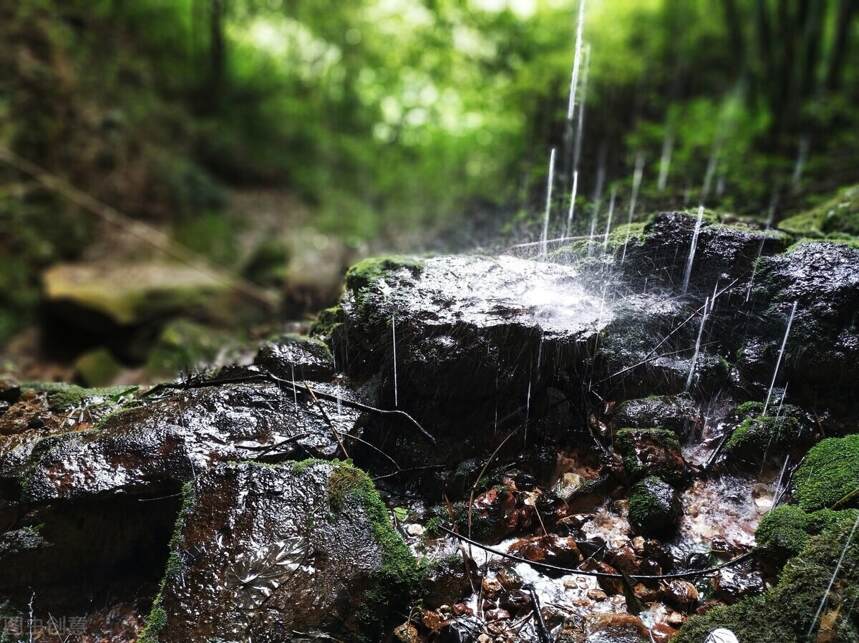 因茶施泡，看茶选水