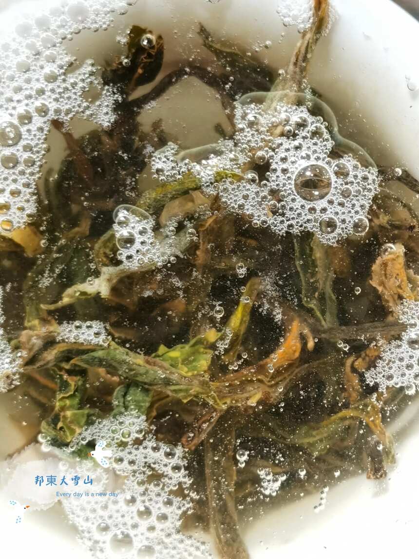 茶品鉴：一款失败的头春邦东大雪山古树茶