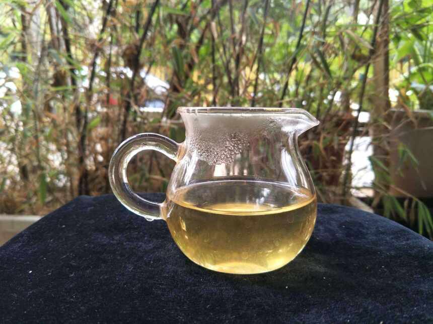 老徐鉴茶170期：500年古树2018早春单株生茶品鉴报告（南京茶友）