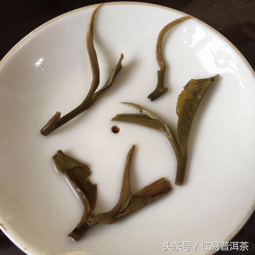 仁易说茶：普洱茶的真正应该具备的特征