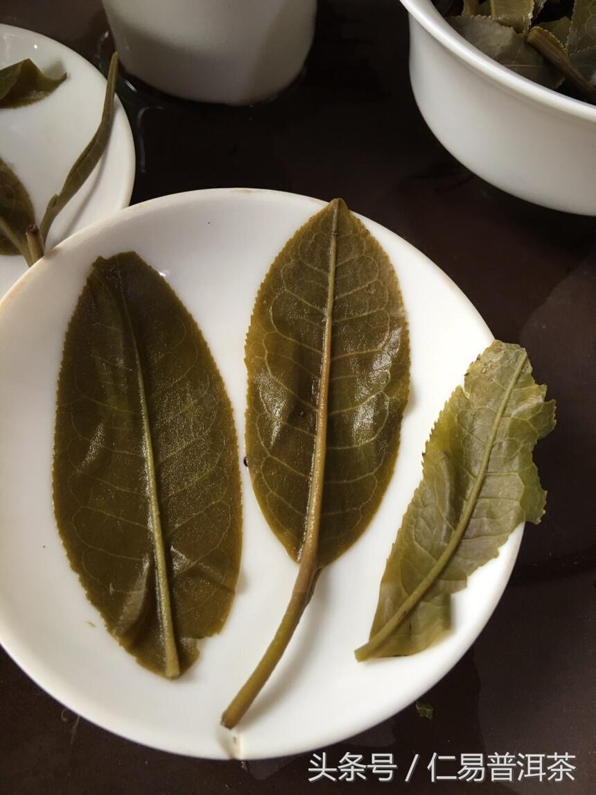 仁易说茶：古代为什么说普洱茶是最酽的？