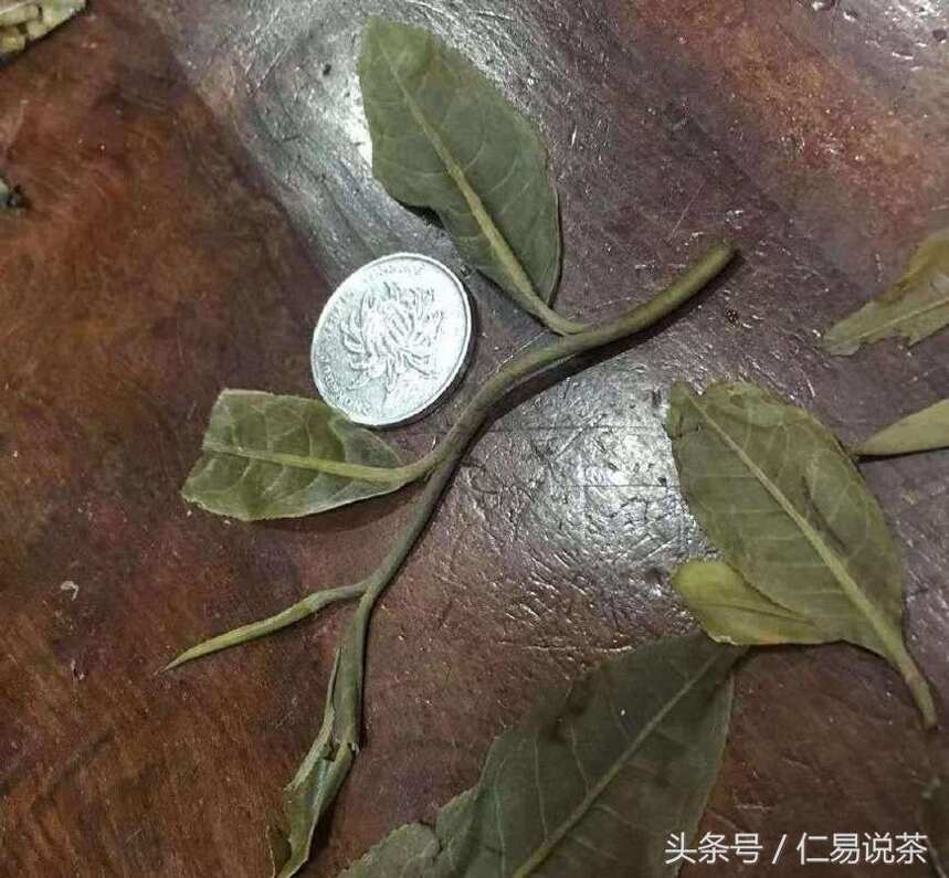 仁易说茶：新编中国普洱茶简史，随手笔记，茶诗一首