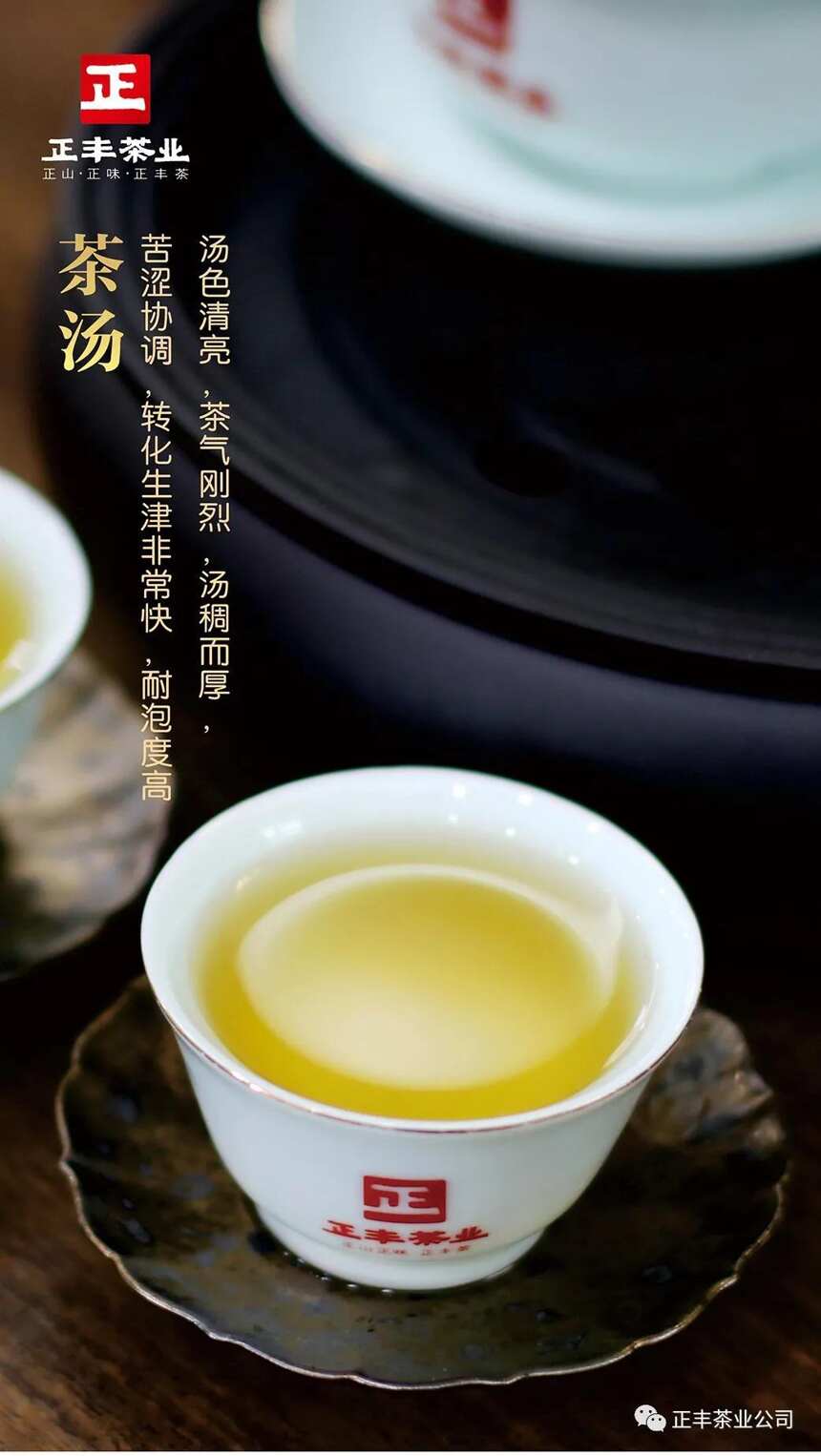 为什么说不懂布朗山茶，就不能算真正的茶人？