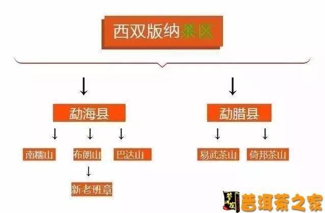 普洱茶各大山头及产区特点详解，再也不会记错了