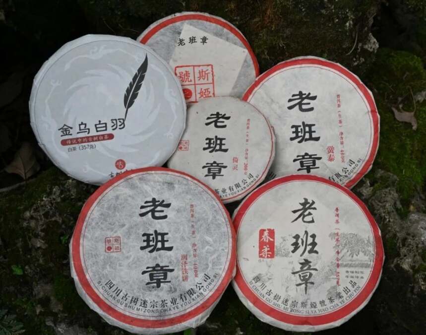 要成为普洱茶王必备的几个因素