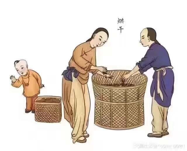 茶净而有味，人为而不争