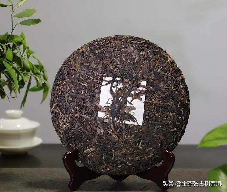 南糯古茶山普洱茶的特点有哪些？口感怎么样