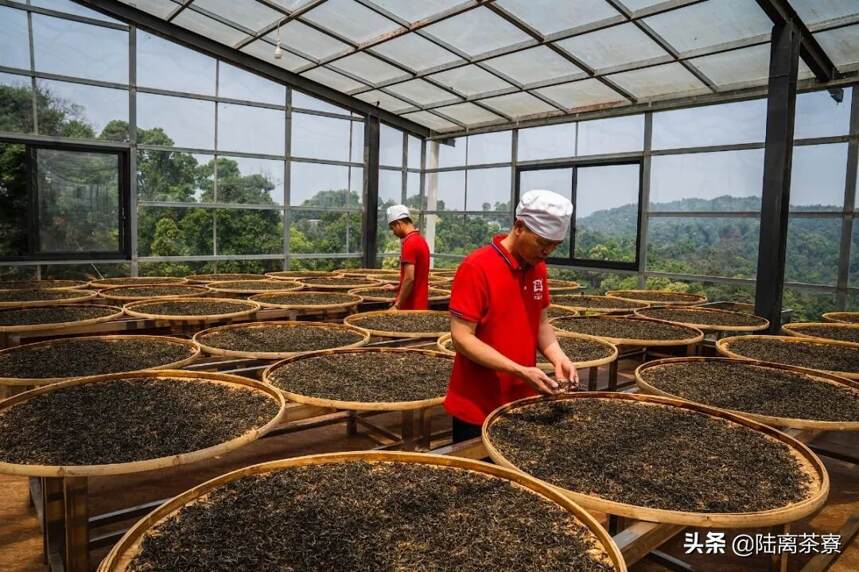 为什么普洱茶企都在上茶山建厂，下市场开店？