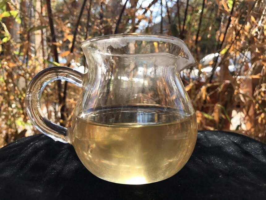 《老徐鉴茶》第201期：景谷2018春茶品鉴报告（成都茶友寄）