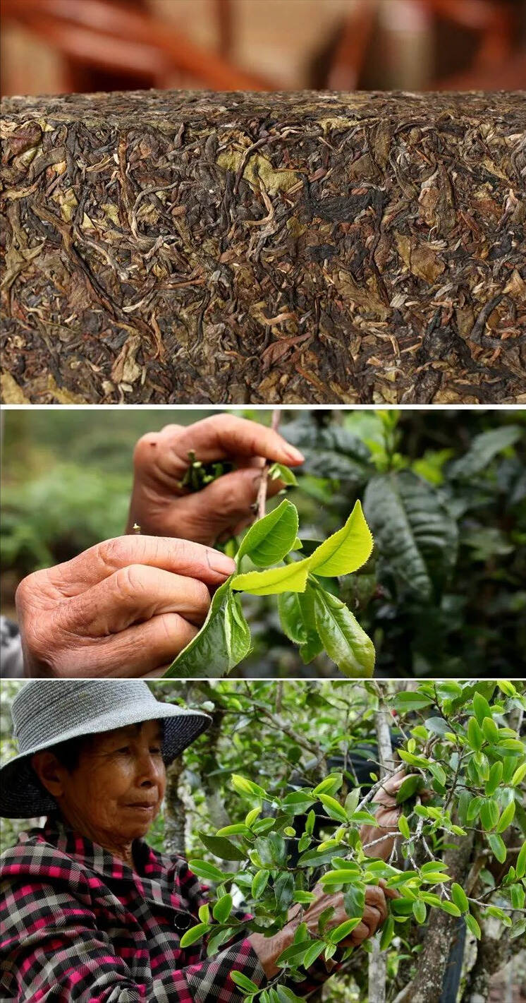 一款好茶，不应该被漂亮的外表所绑架