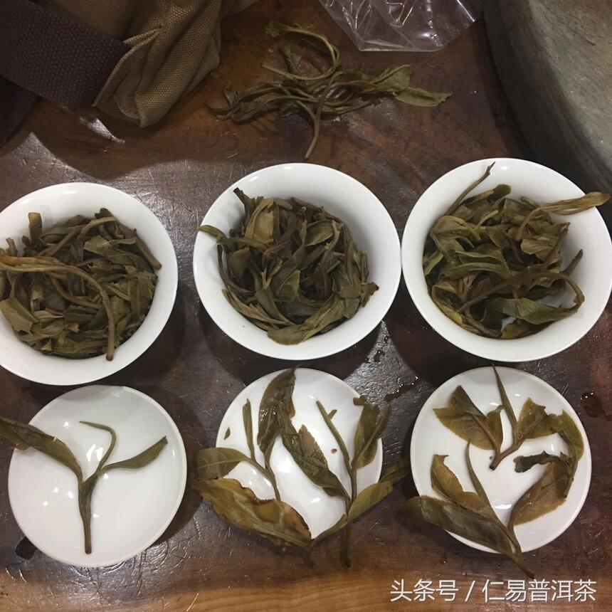 怎样防止被忽悠，古树普洱茶不是所有人能看出来的