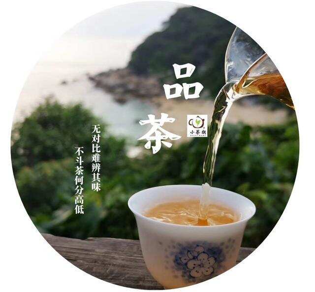 茶人故事丨我与普洱茶的不解之缘